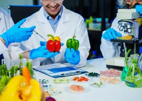 Ernährungswissenschaftler - AdobeStock_1007988769 --- Phushutter --- 280x200 --- kostenlos